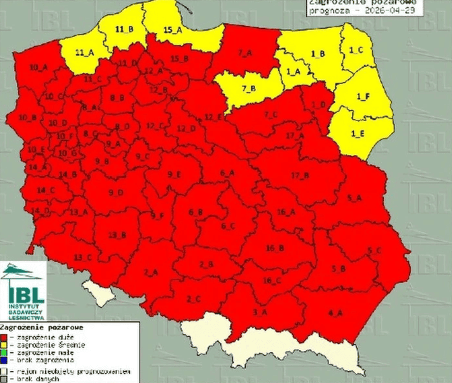 Prawie cała Polska objęta ostrzeżeniami III stopnia. Instytut Badawczy Leśnictwa apeluje