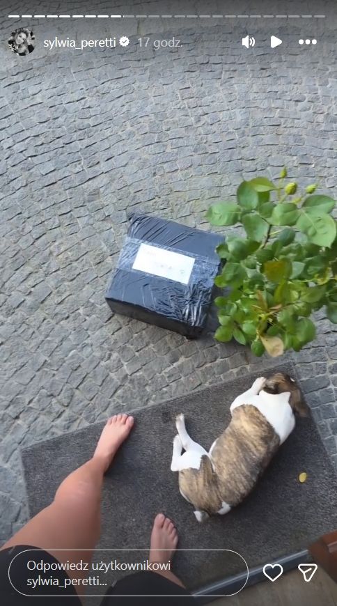 Ktoś podrzucił to pod dom Peretti w Dniu Matki. Wpadła w rozpacz