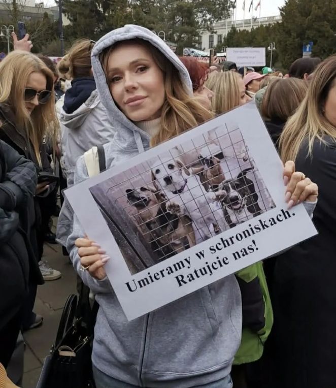 Ziemiec: "Psa zostawiało się na sznurku". Doda tak mu odpowiedziała, że zapadnie się pod ziemię