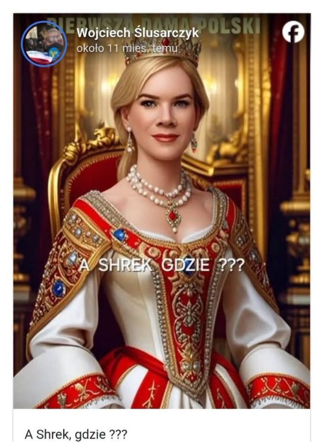 Nazwał Nawrockiego "Shrekiem". Teraz ostro się tłumaczy
