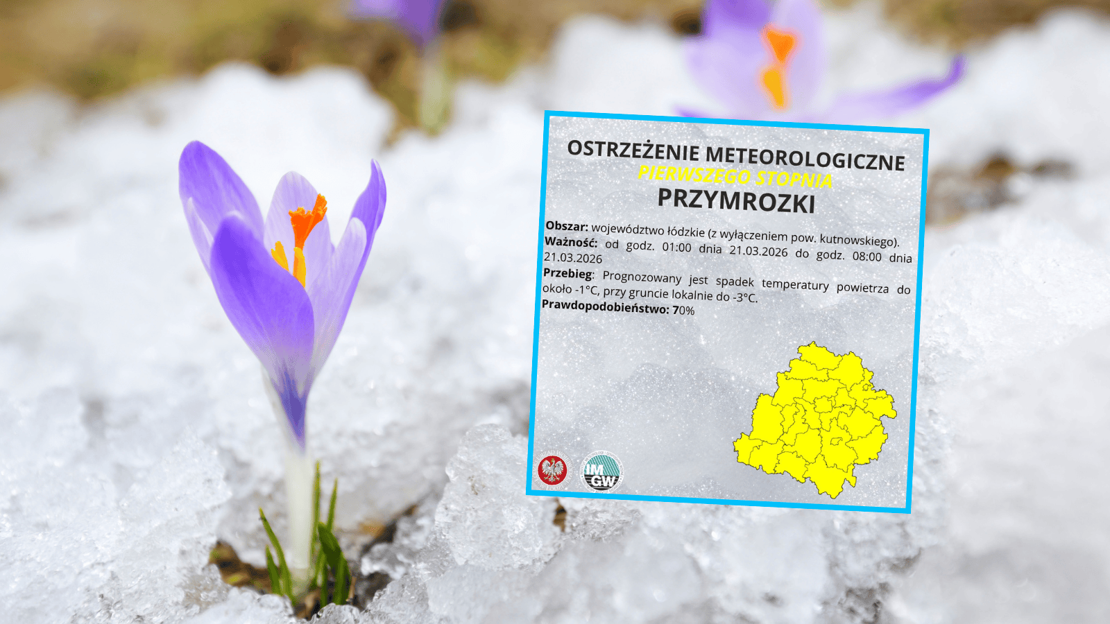 Alert IMGW, fot. Wojewódzkie Centrum Zarządzania Kryzysowego Łódzkiego Urzędu Wojewódzkiego/Facebook, Canva