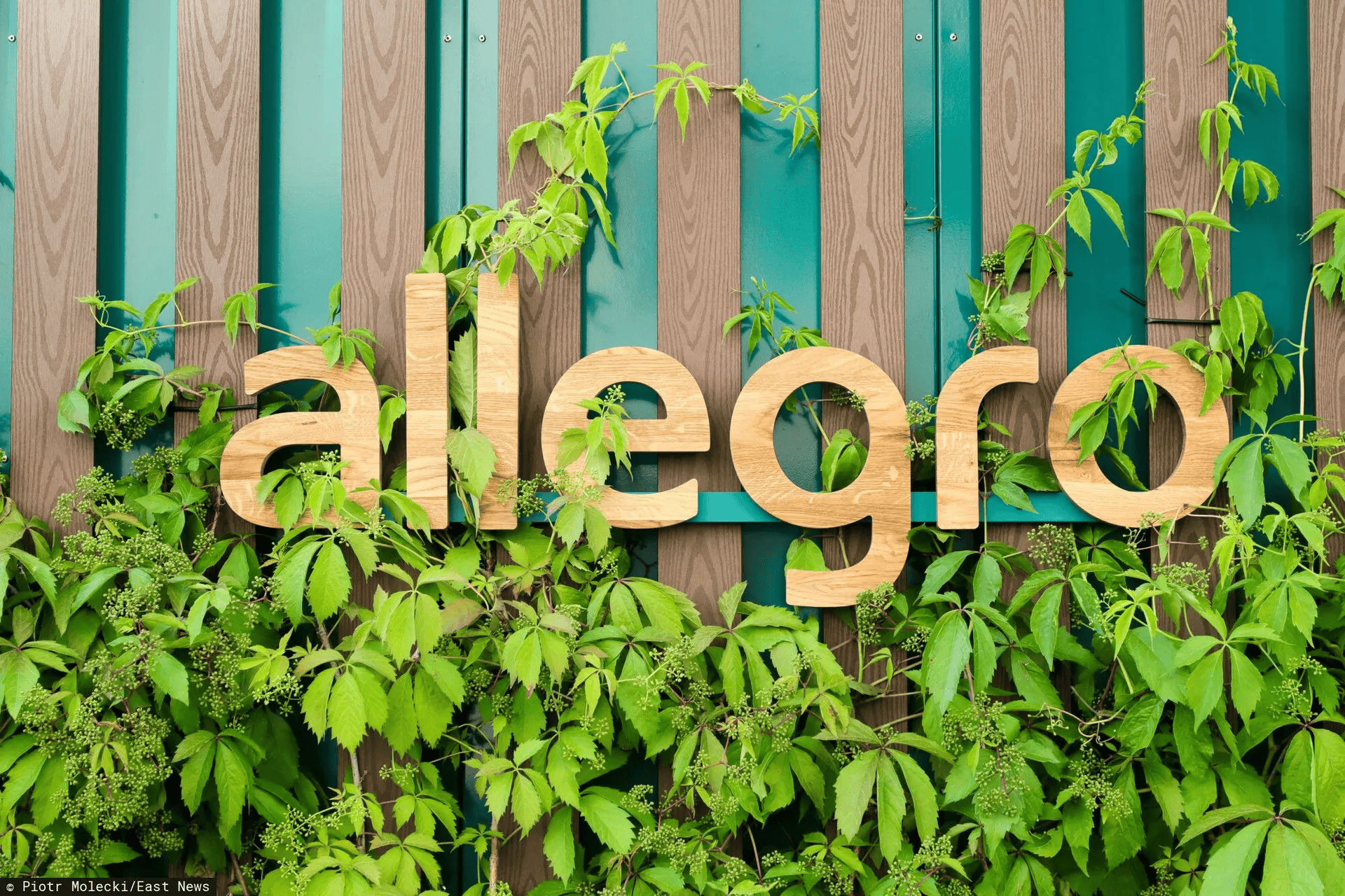 Allegro usuwa ważną funkcję. Podaj te dane albo pożegnasz się z nią na zawsze