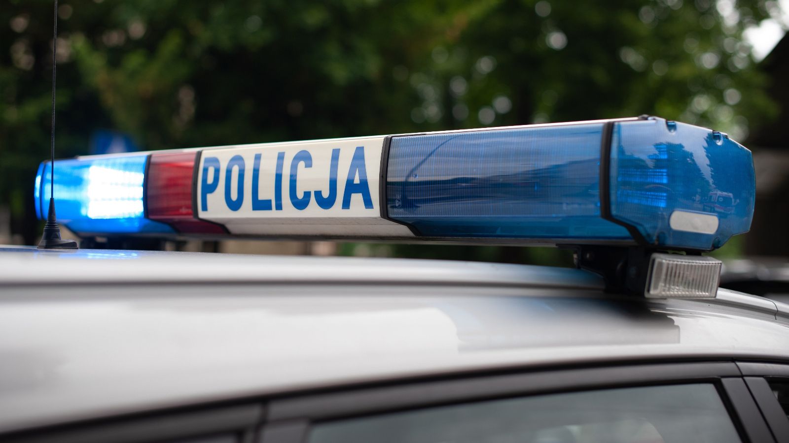 Dramatyczny wypadek na polskiej trasie. W akcji wszystkie służby, są ranni