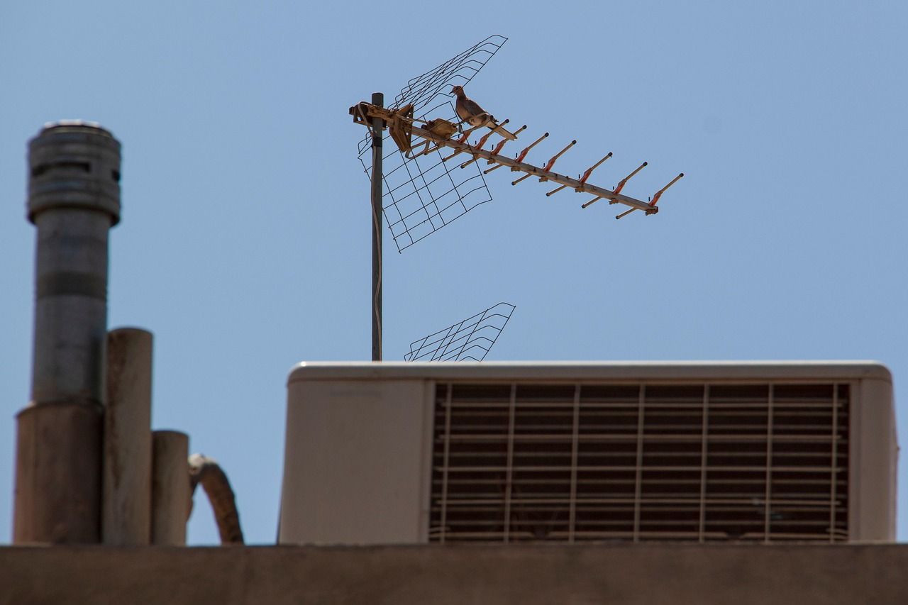 Antena
