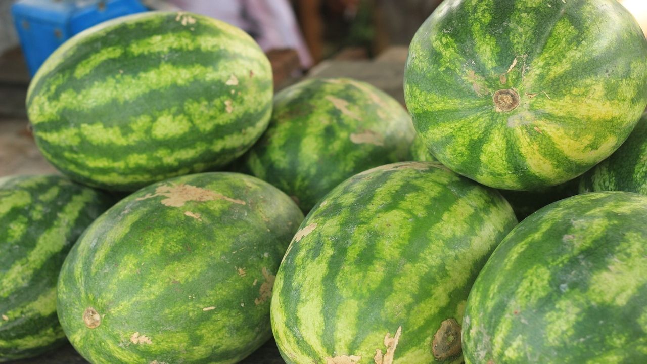 Duża sieć sklepów pomaga polskim rolnikom. Od dziś kupisz tam arbuzy po gradobiciu