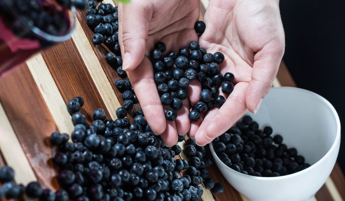 aronia