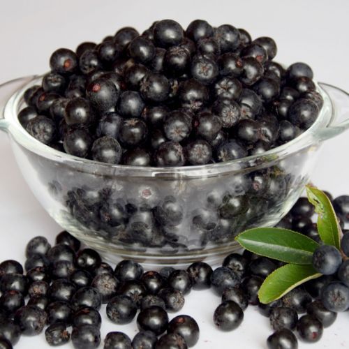 Te kuleczki są cenne jak złoto. Wkrótce zacznie się na nie sezon