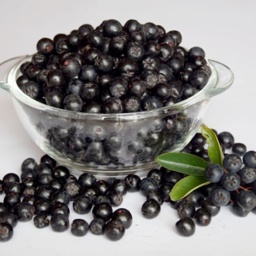 aronia.jpg