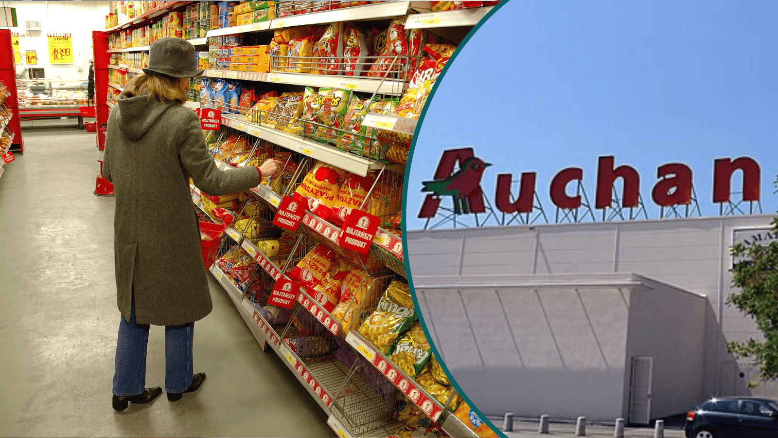 Auchan wprowadza pierwsze w Polsce wózki sklepowych dla psów