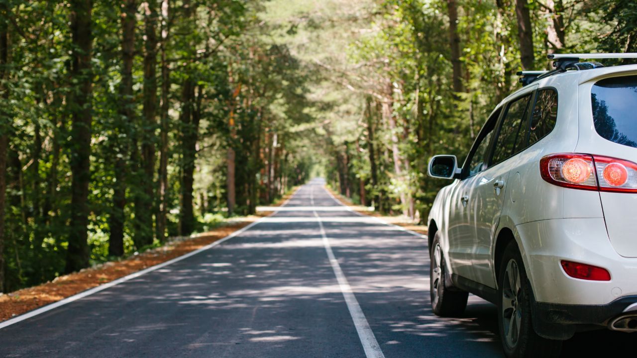 Pilna akcja naprawcza popularnych samochodów. Ryzyko pożaru, kierowcy wzywani do serwisów