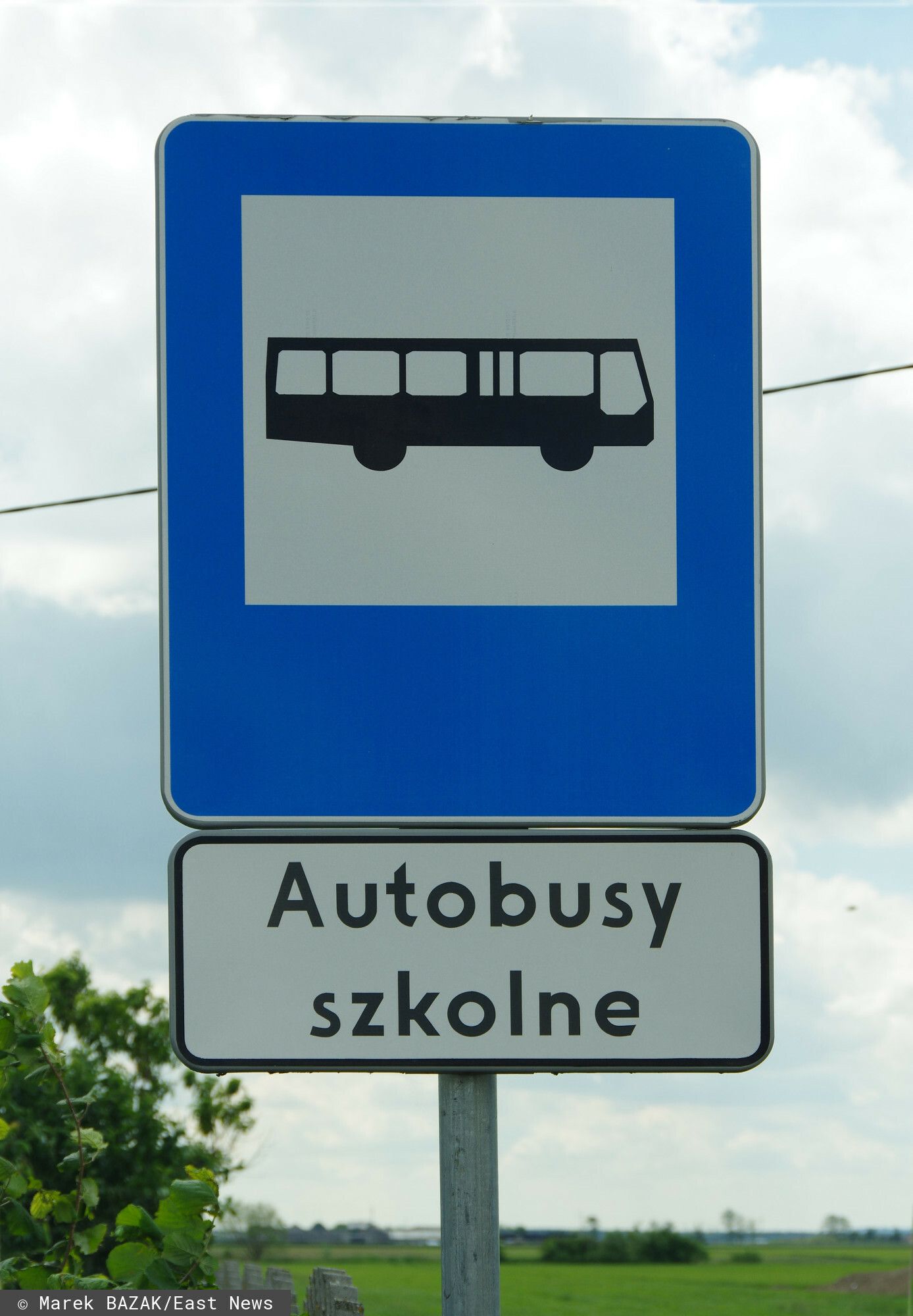 autobus szkolny