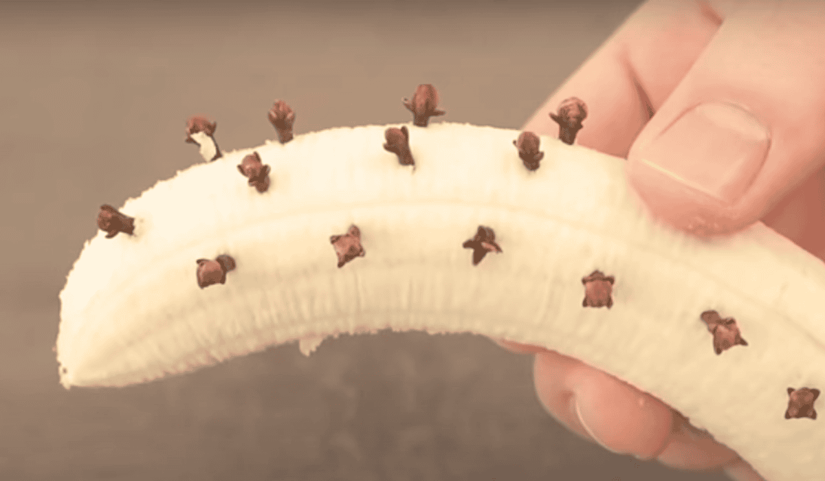 banan goździki