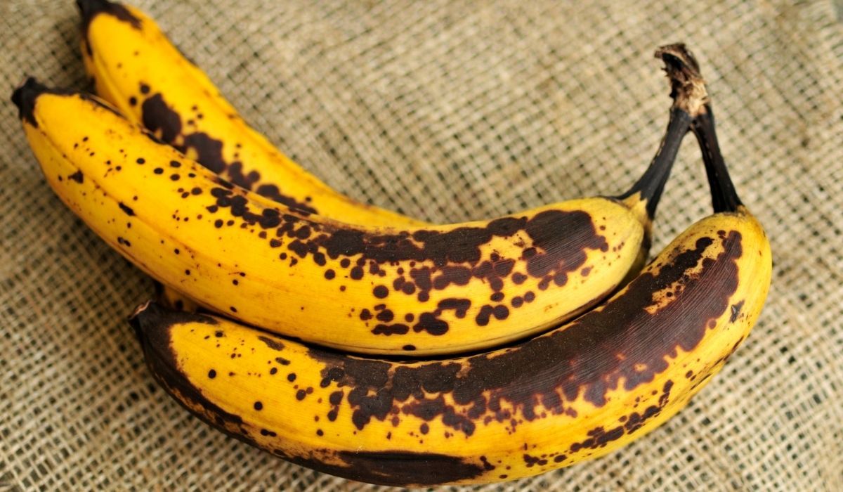 Czy można jeść dojrzałe banany z brązowymi plamami? Opinia eksperta nie pozostawia złudzeń