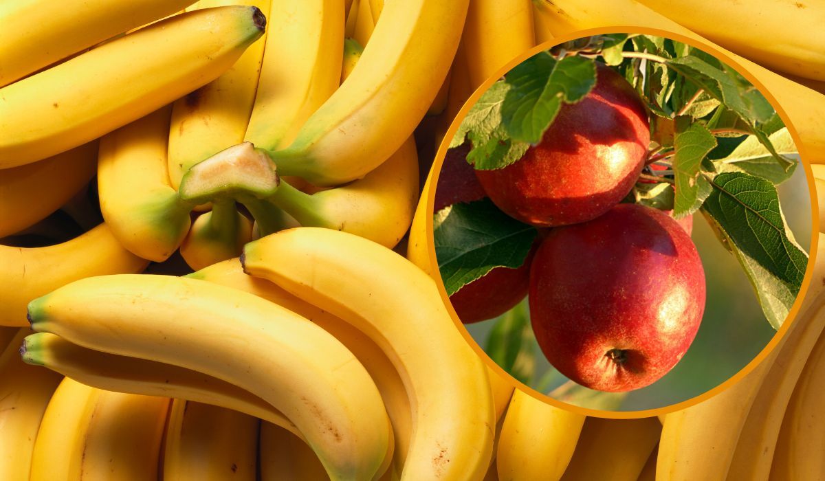 banany jabłka
