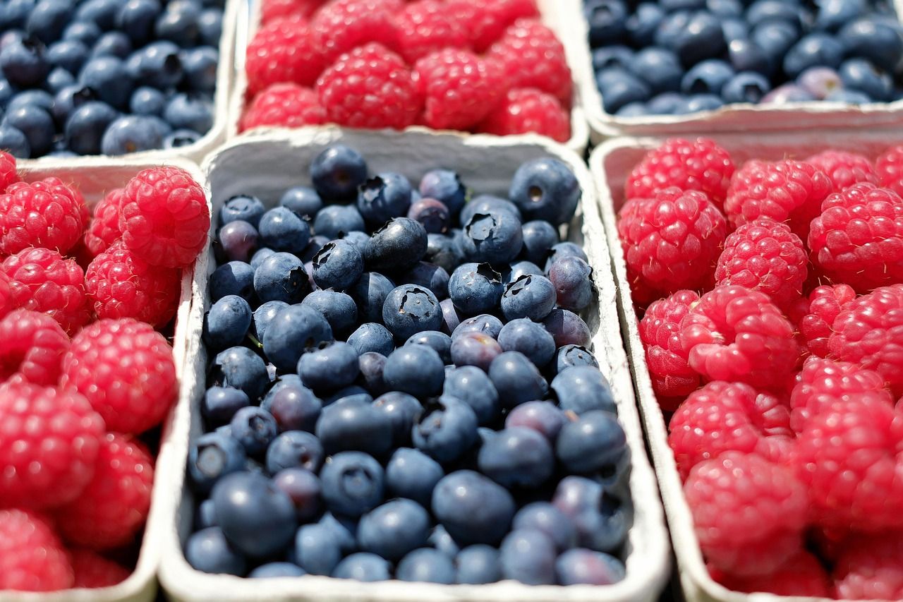 berries-1493905_1280.jpg
