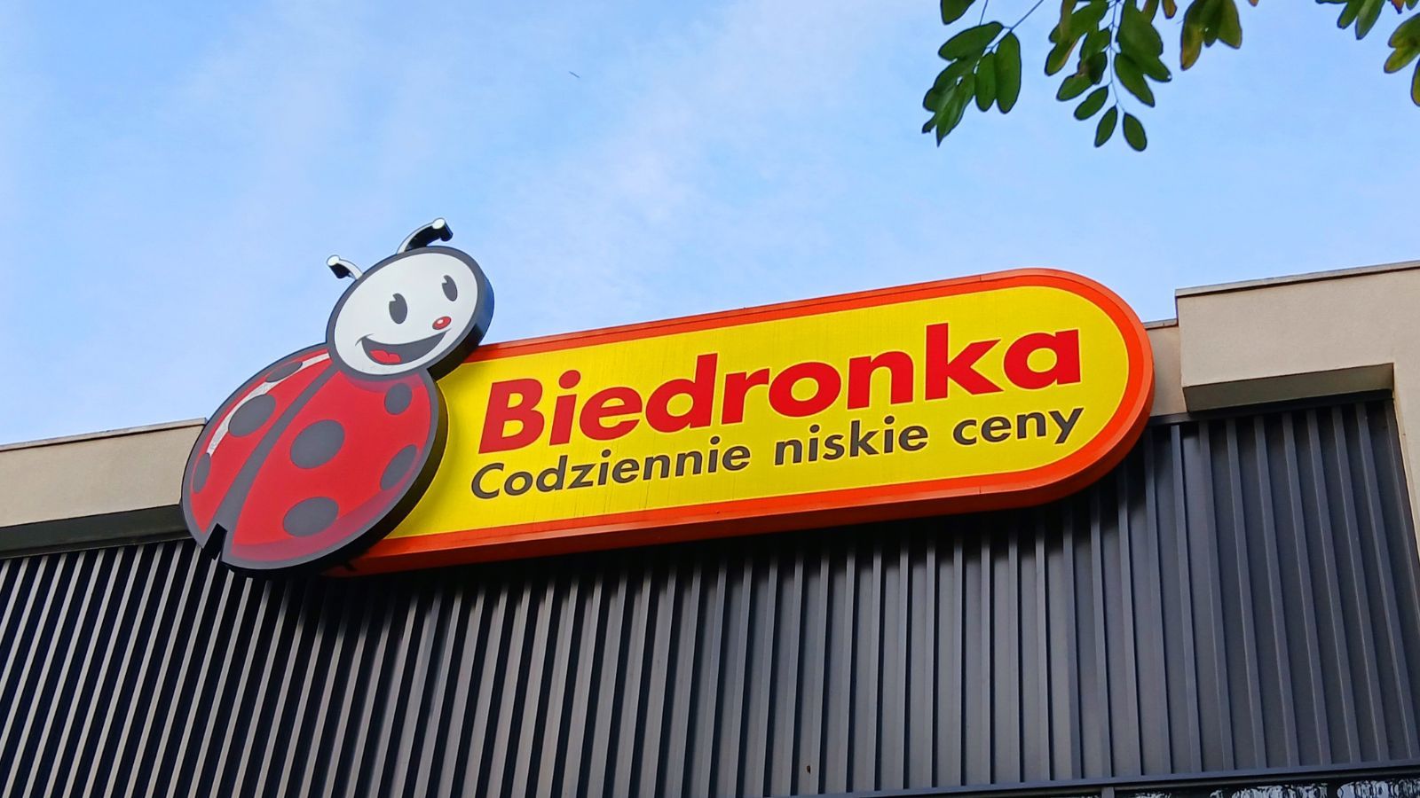 Rzucą to do Biedronki od czwartku. "1+1 gratis" dla wszystkich i przecena z 75,99 zł na 7 zł