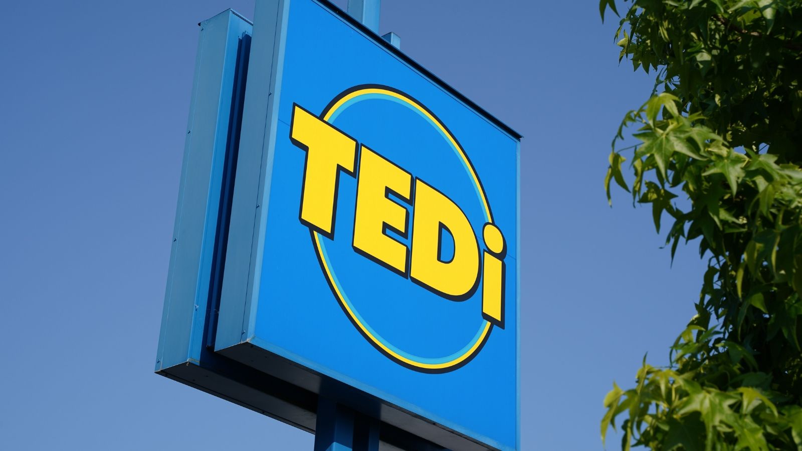 Tedi, Action, sklep