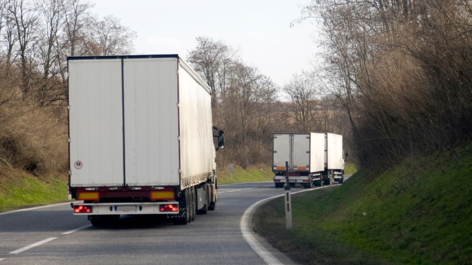 Służby zatrzymały transport z Chin. Takie ryby chcieli wwieźć do Polski