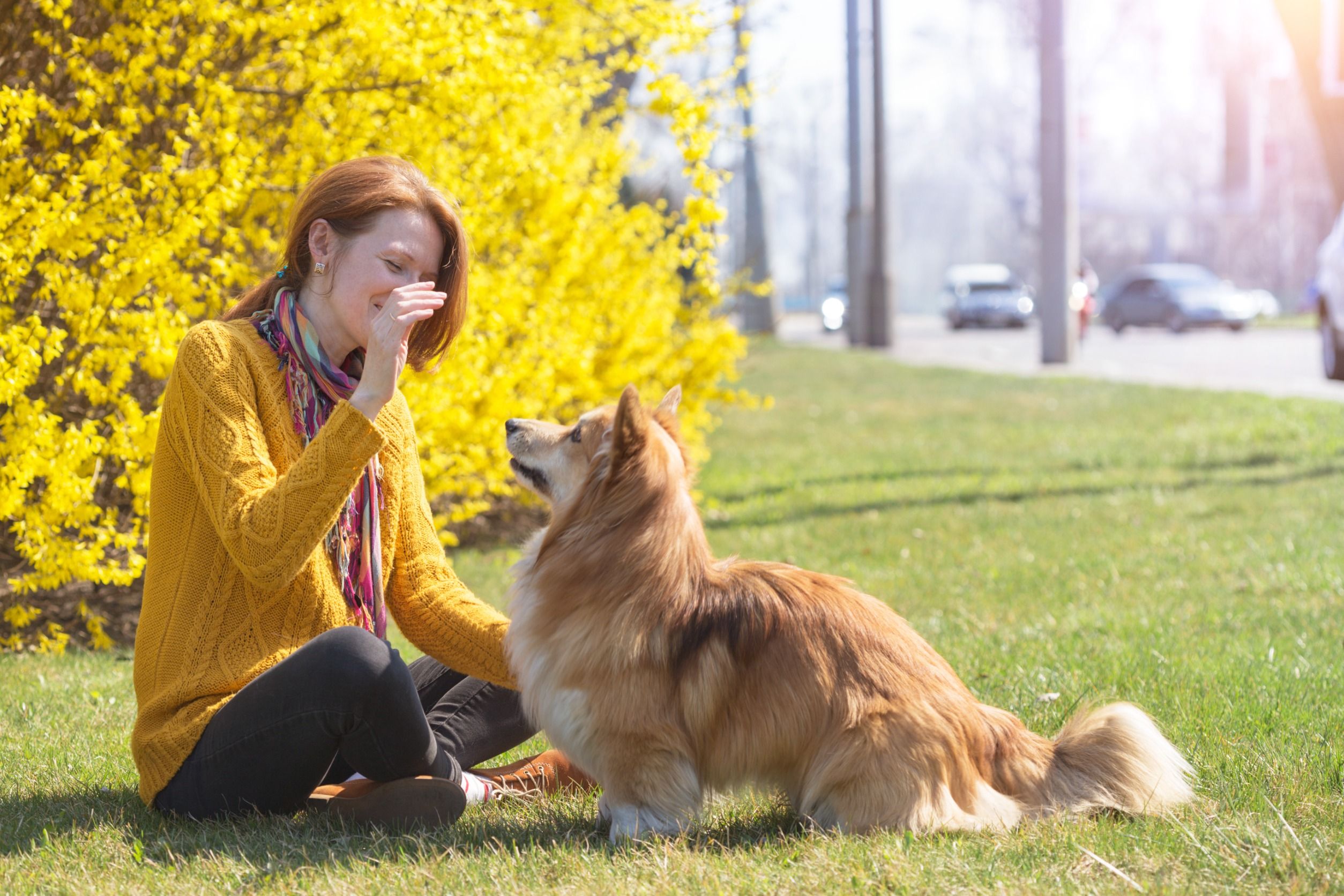 Kobieta dająca przekąski dla swego psa na dworze