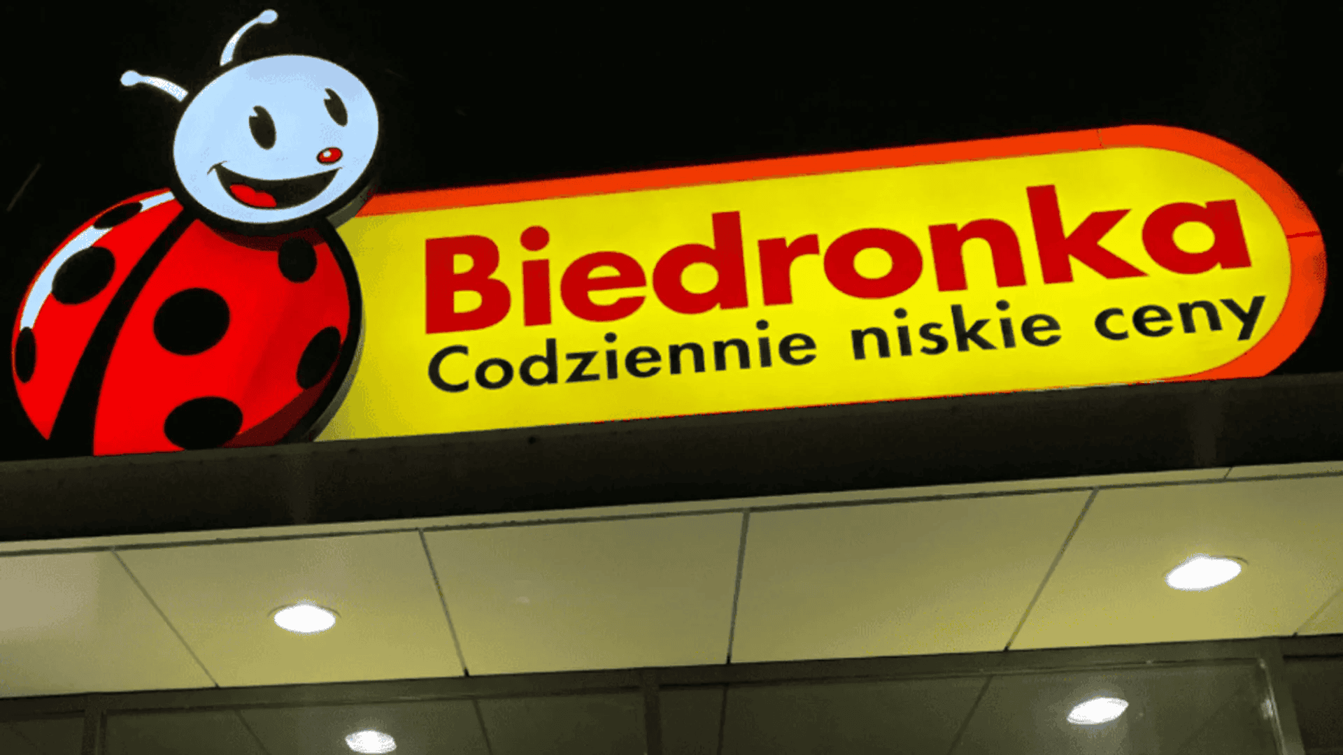 biedronka 2.jpg