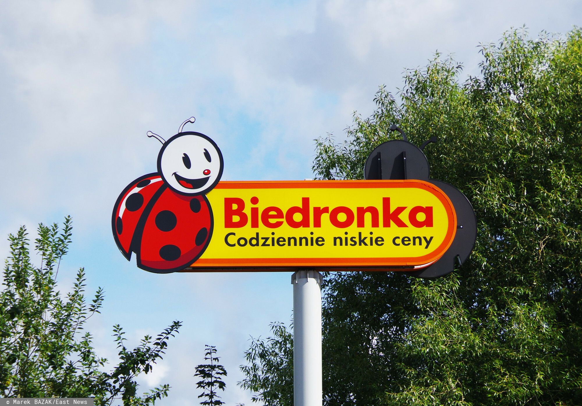 Znana sieć dyskontów wprowadza zmiany. Klienci się zdziwią, to znajdą przy pieczywie