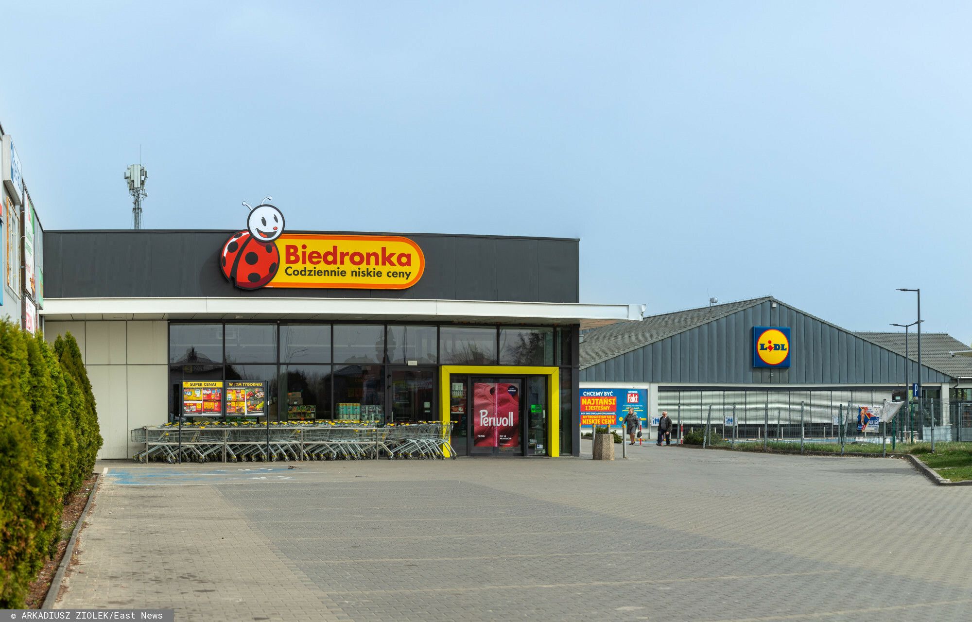 Biedronka i Lidl