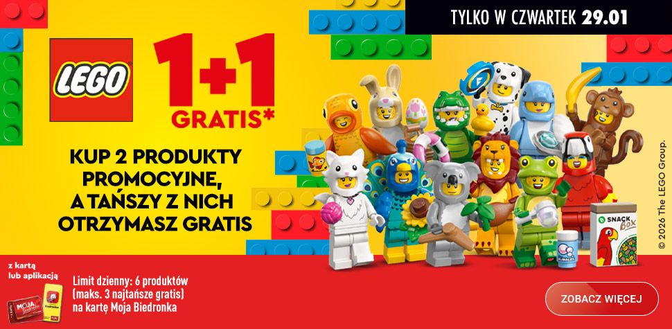 Klienci walczyli o klocki. Kaufland komentuje głośną akcję LEGO