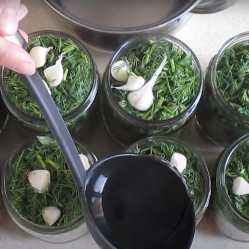 Pakuję botwinkę do słoików. Zimą każdy mi dziękuję za te przetwory