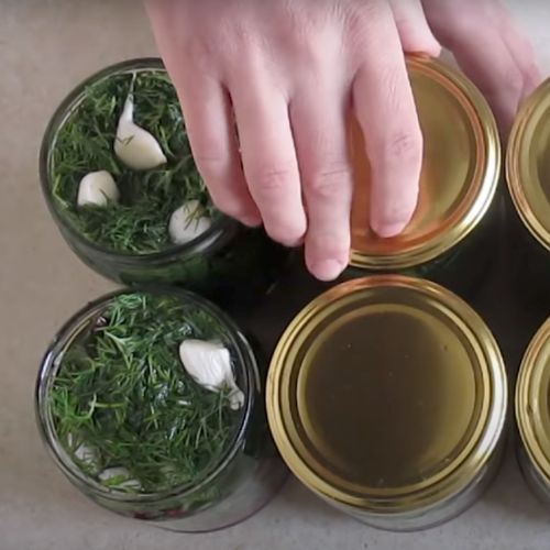 Pakuję botwinkę do słoików. Zimą każdy mi dziękuję za te przetwory