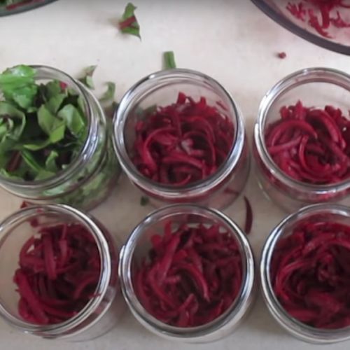 Pakuję botwinkę do słoików. Zimą każdy mi dziękuję za te przetwory