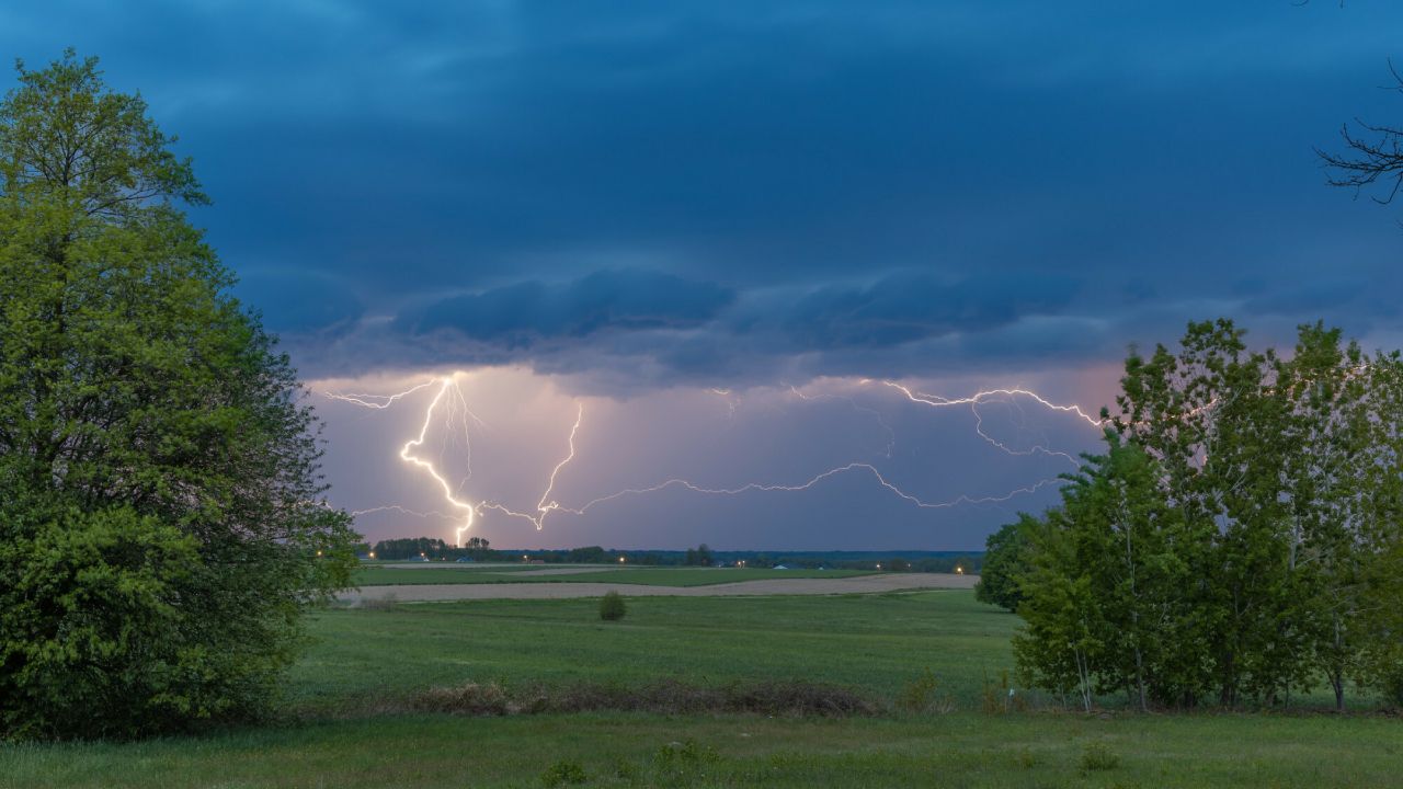 burza