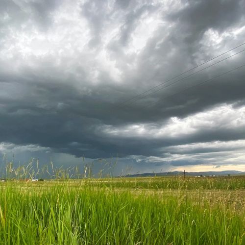 Przenigdy nie gotuj wtedy rosołu, cały gar skiśnie. Nasze babcie zawsze o tym pamiętały