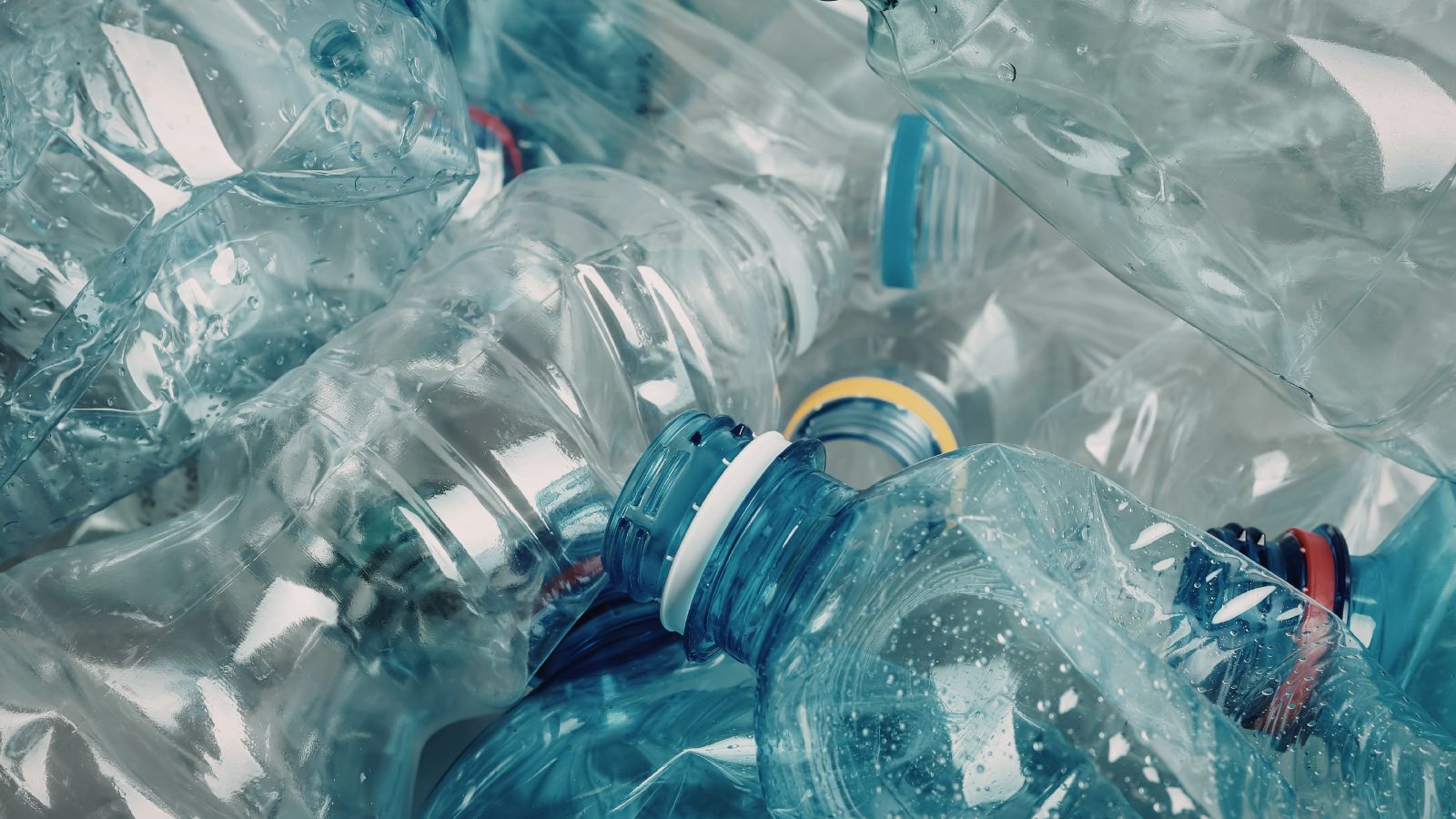 Tak Polacy próbują zarobić na systemie kaucyjnym. Nie wiedzą, jak surowa grozi za to kara