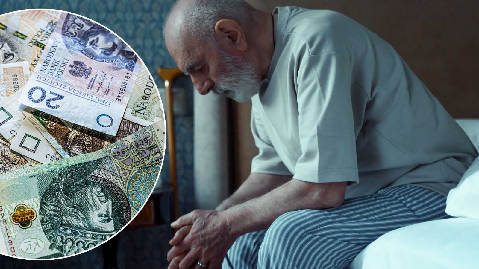 senior, pieniądze