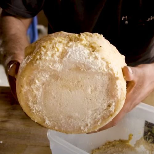 casu marzu.jpg