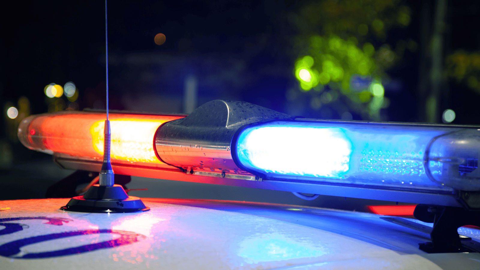 Kościół Naturalny rozbity przez CBŚP. Ujawniono, jak działali