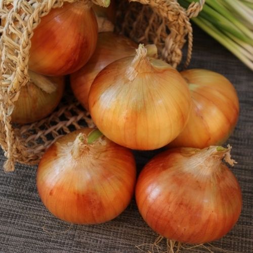 Dlaczego opalamy cebulę do rosołu? Powód jest kluczowy