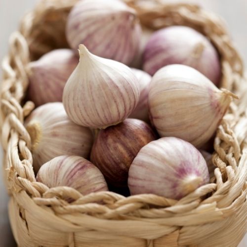 Tak rozpoznasz polski czosnek. Tym różni się od dużo gorszego, chińskiego