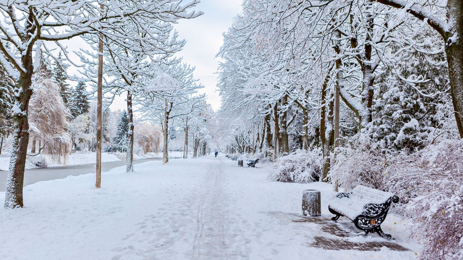 Służby ostrzegają mieszkańców. 12 województw objętych alertem. Zacznie się już w nocy