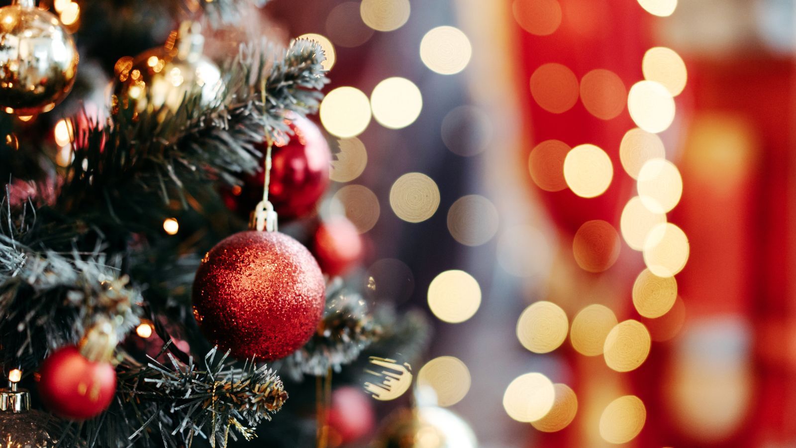 Tyle Polacy zapłacą za choinkę w tym roku. Przed świętami będą musieli sięgnąć głęboko do portfela