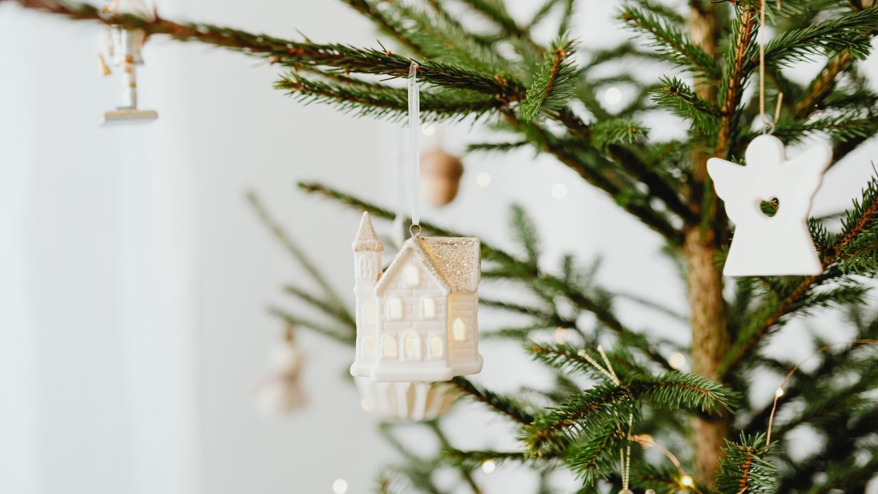 Tanie choinki w dyskontach w całej Polsce. Ucieszą się nie tylko klienci Lidla i Biedronki