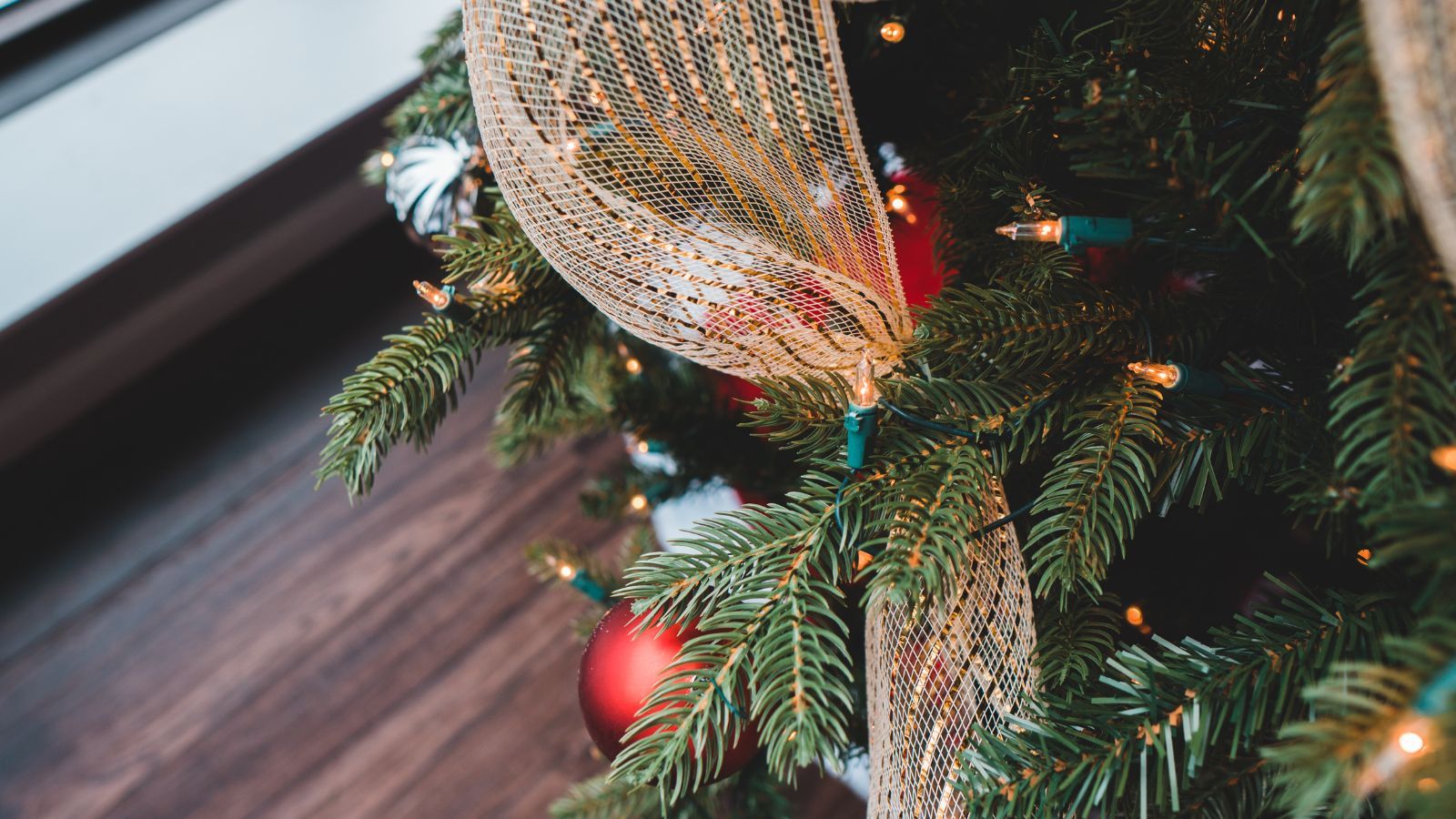 Nie wyrzucaj choinki po świętach. Polacy wciąż popełniają ten błąd, nie mają o tym pojęcia