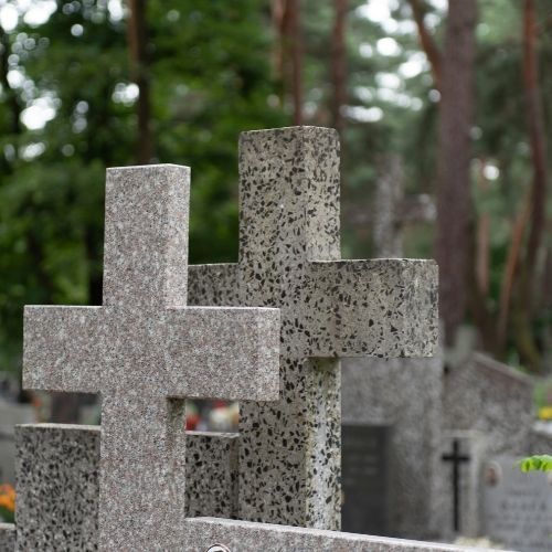 Mróz może zniszczyć chryzantemy przed 1 listopada. Ten sposób uratuje kwiaty