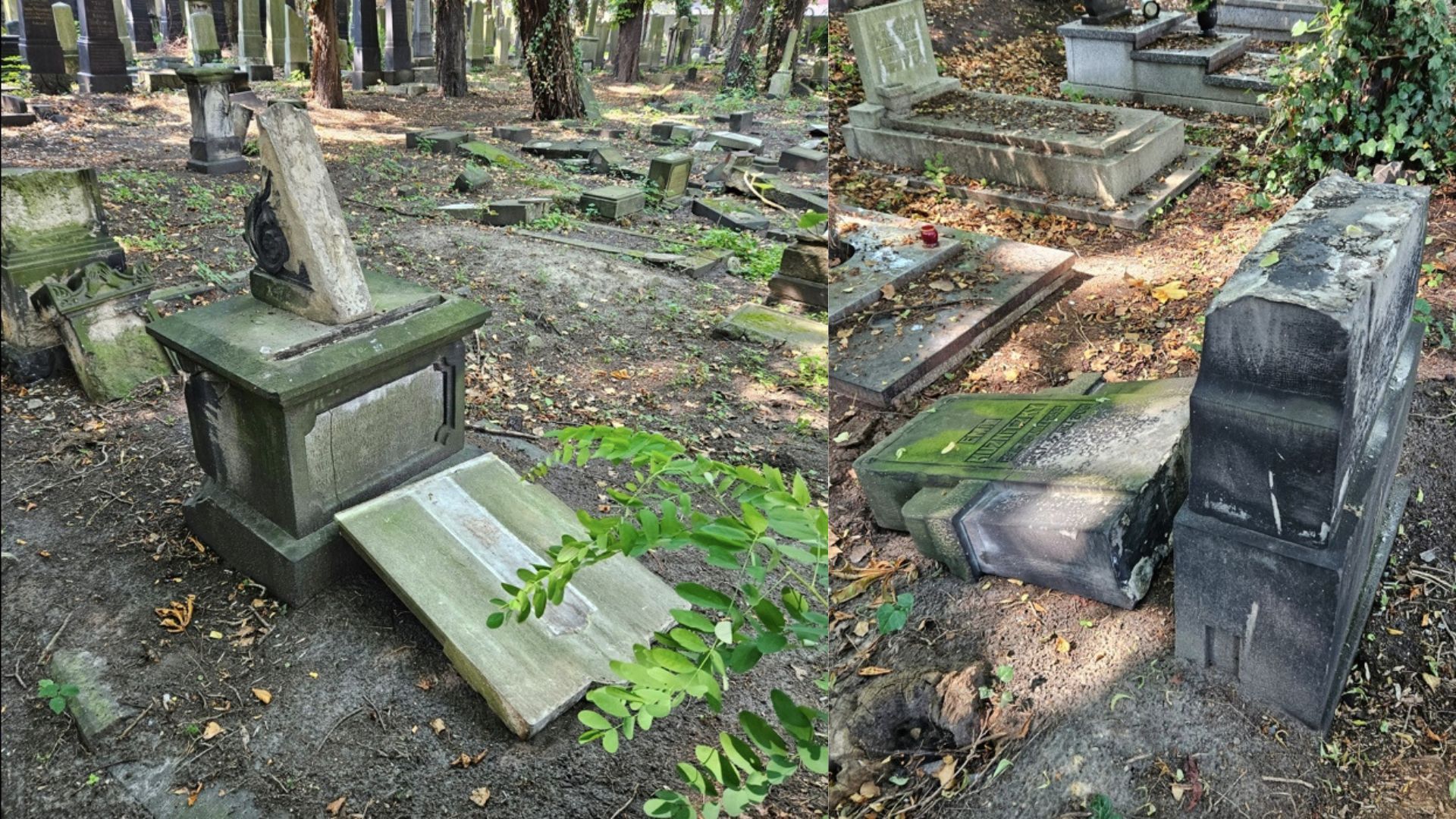 zdewastowany cmentarz