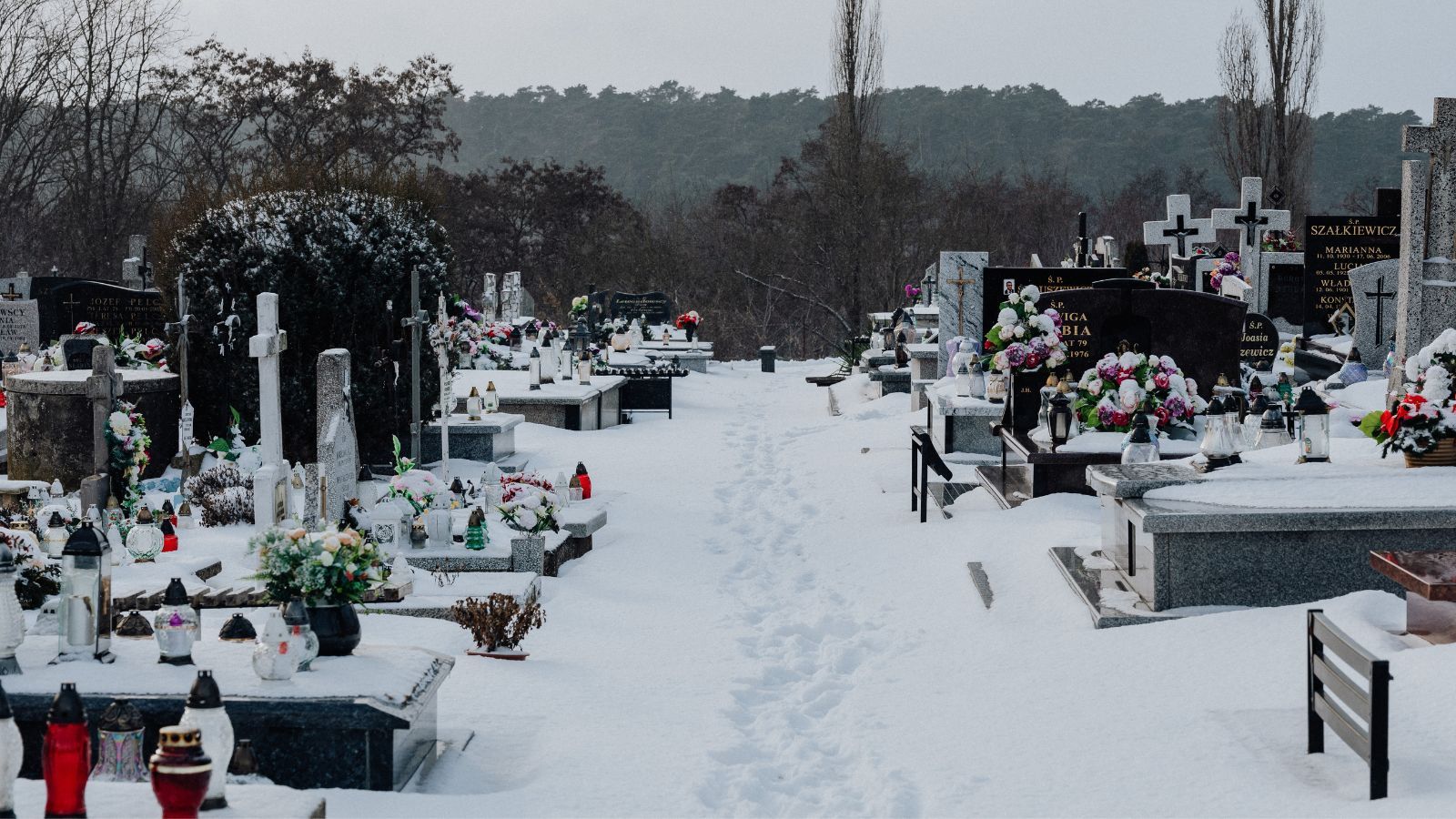 Nowy cennik na cmentarzach od 1 stycznia. Tutaj podwyżki najmocniej uderzą w portfele Polaków