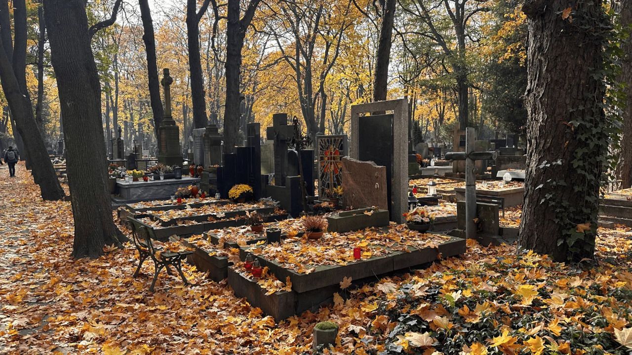 Koniec z likwidacją grobów? Szykują się ważne zmiany, petycja już w Sejmie