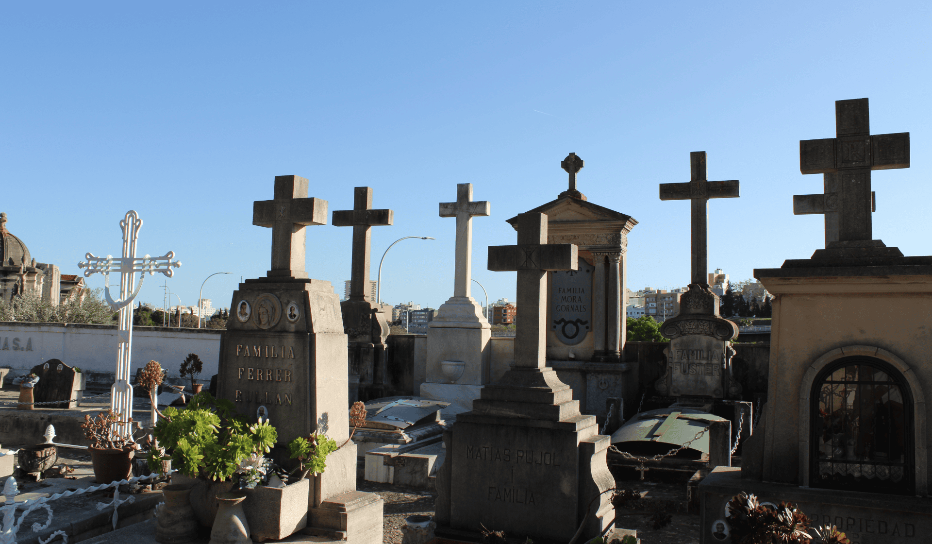 cmentarz, fot. Canva.com