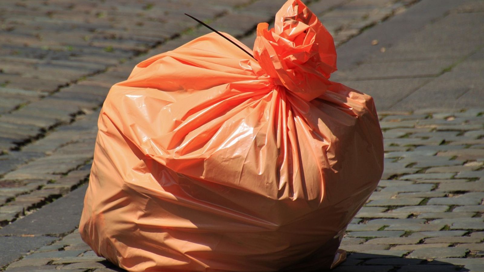 Michał Troszkiewicz