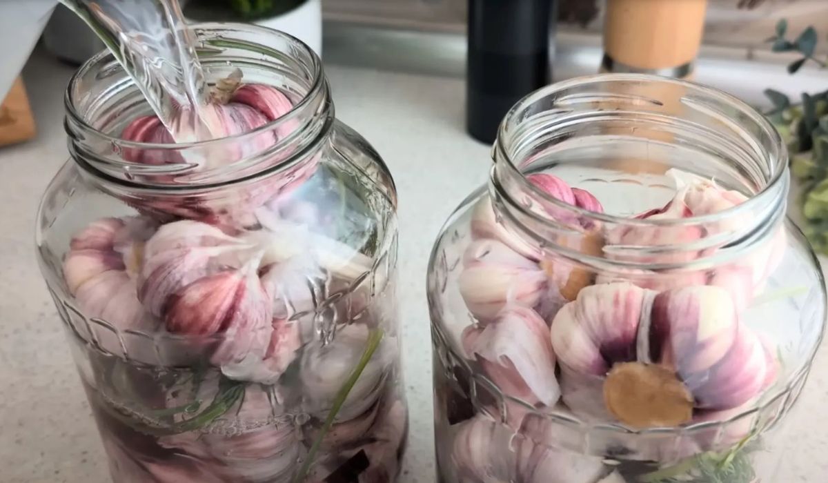 Kiszony czosnek na zimę. Mamy najlepszy przepis
