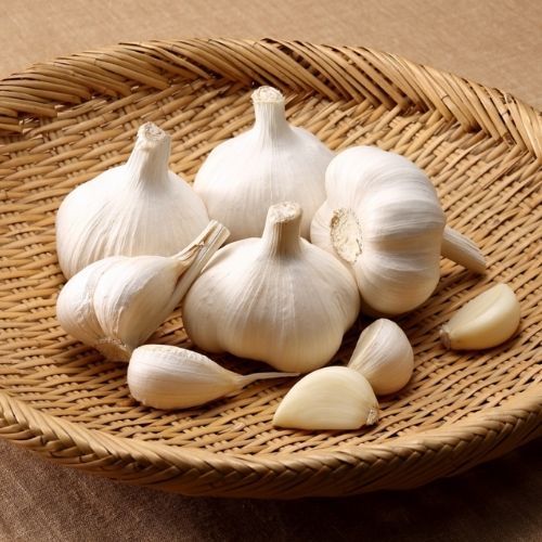 Kiszony czosnek na zimę. Mamy najlepszy przepis